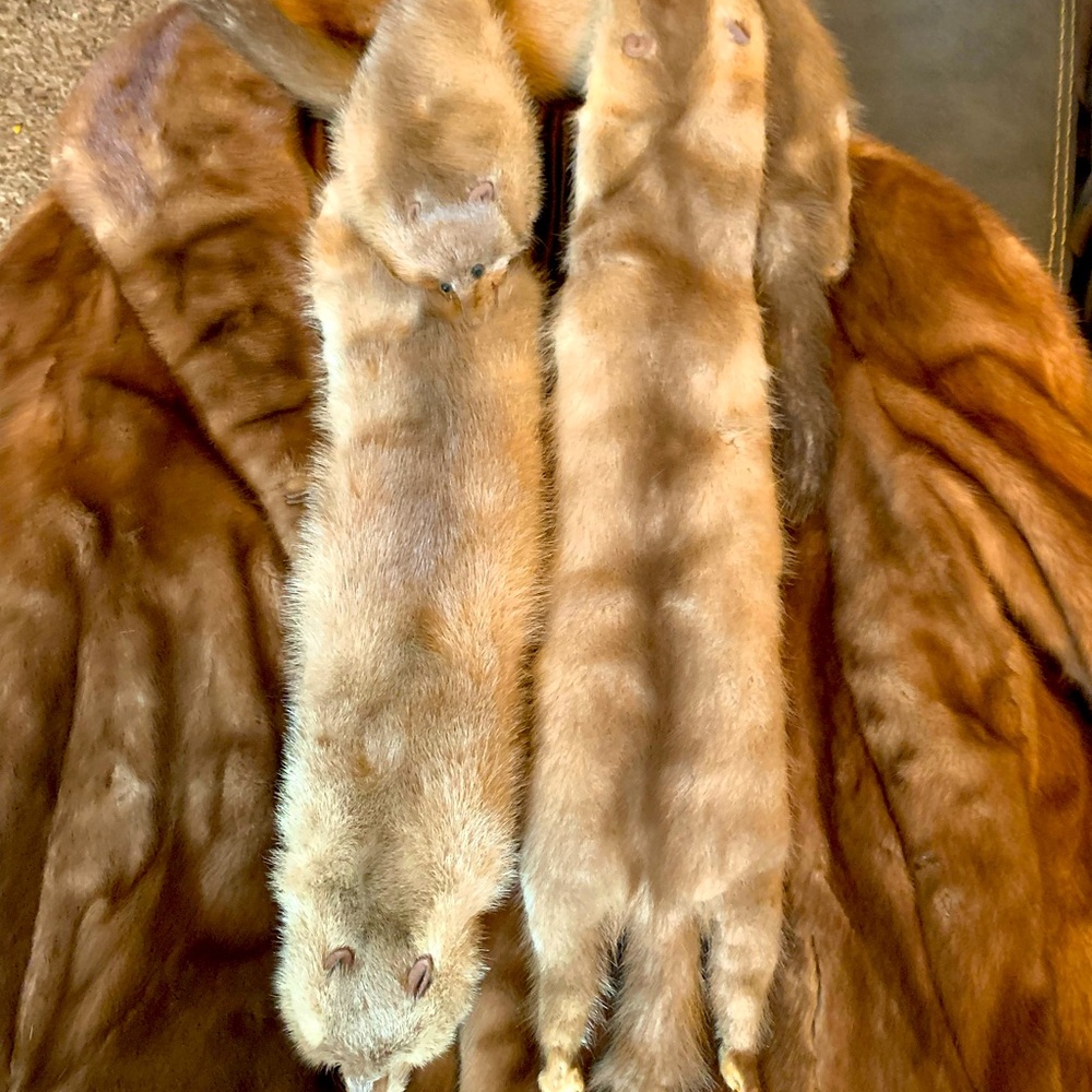 Hecht Company Vintage Mink Combo